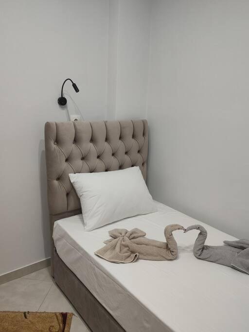 Apartment In The Center Of