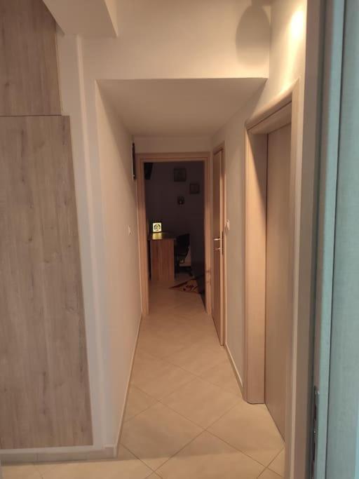 Apartment In The Center Of