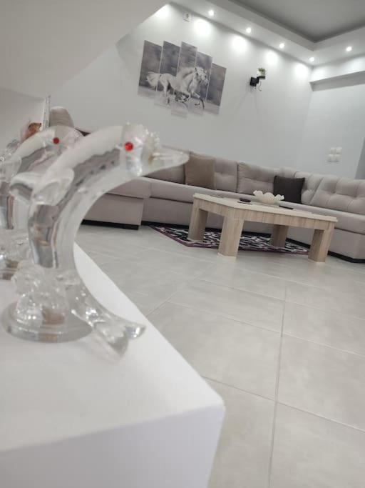 In The Center Of Apartment